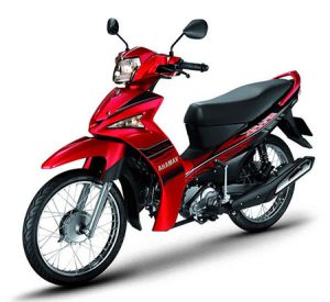 Yamaha Spark 115 Scooter Rental in Chiang Mai